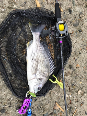 これが噂の春爆（チニング編）