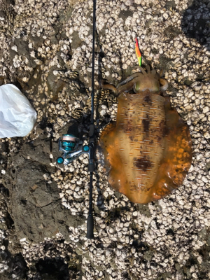 ヤバイくらいのんが来た(*_*)