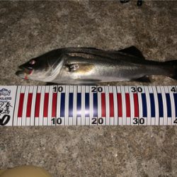 今シーズン一番