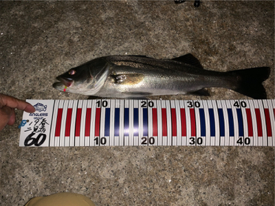 今シーズン一番