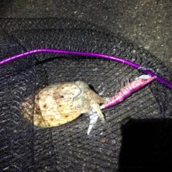 3人でナイトゲーム