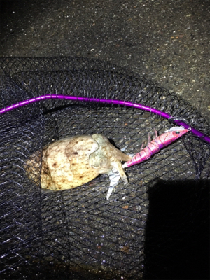 3人でナイトゲーム