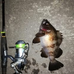 平成最後のメバリング