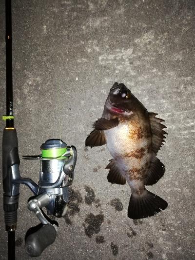 平成最後のメバリング