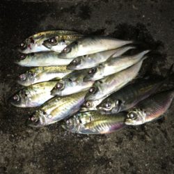 GWスタート！！