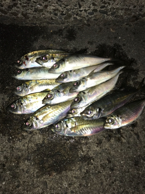 GWスタート！！