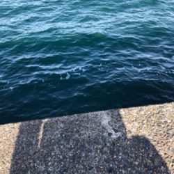 久々のガシリング