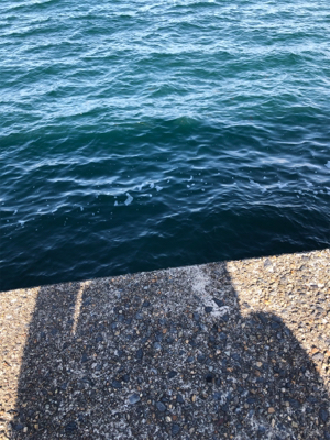 久々のガシリング