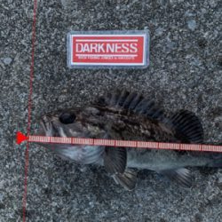 平成最後の釣行！？