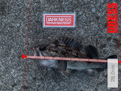 平成最後の釣行！？