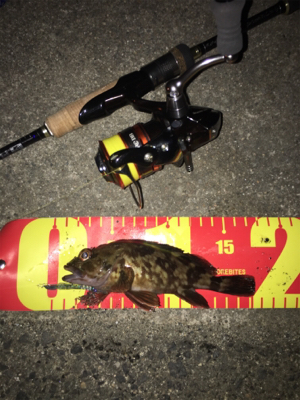 ライトゲーム は楽しいよね〜