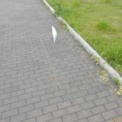 一年以上ぶりの