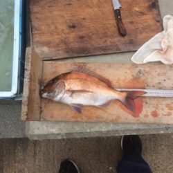 GW前半戦、雨の前の勝負