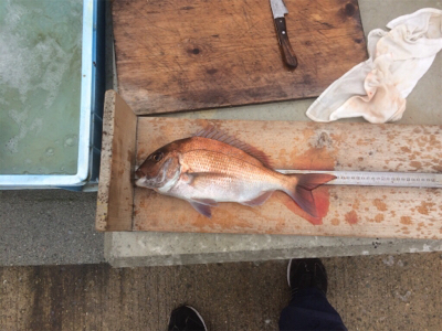 GW前半戦、雨の前の勝負