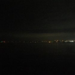 メバル・アジ・ガシラ