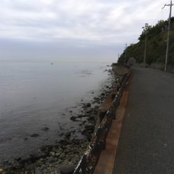 泉南フロートメバル&アジ