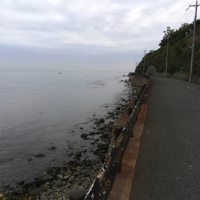 泉南フロートメバル&アジ