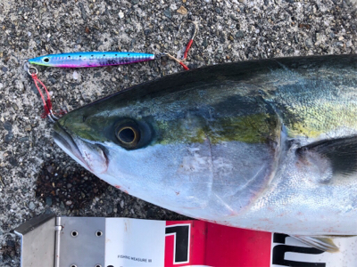 GW初日、タイミングよかった^ ^