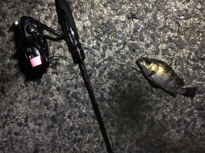 小粒ライトゲーム