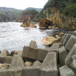 今日も釣れます!