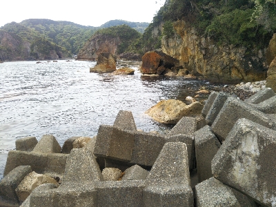 今日も釣れます!