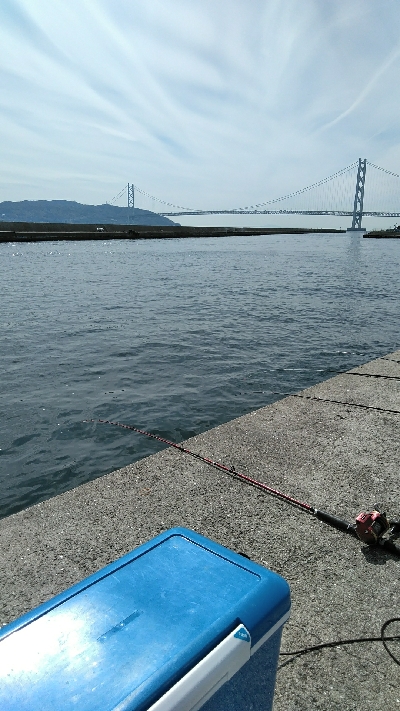 コブダイバラシ3回、ガシラ祭り