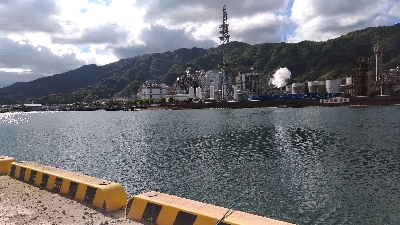 4/27釣果　チヌ45,38,36センチ