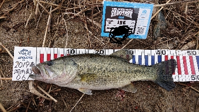 ハイプレッシャー