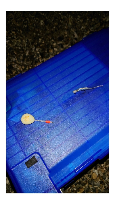 メバルが釣れない