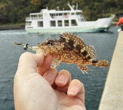 2019年4月13日釣行in鷹島