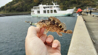 2019年4月13日釣行in鷹島