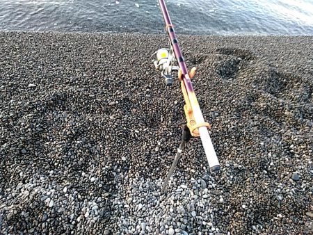 やっぱりイイ潮みたいです!!