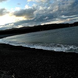 サーフでも　ガシラできました!!