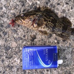 出張先の楽しみ②