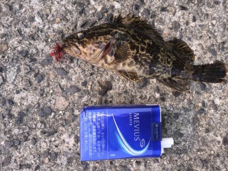 出張先の楽しみ②