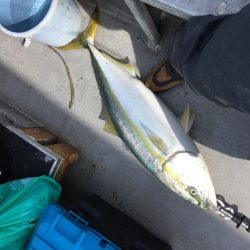 初日本海ジギング