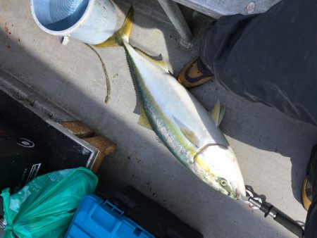 初日本海ジギング