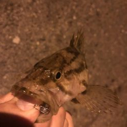 17日夜のべた凪で