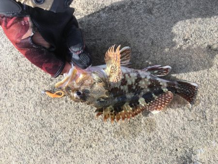 これがスーパーオモックの力