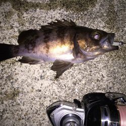 フロートメバリング