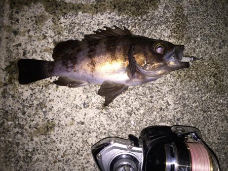 フロートメバリング