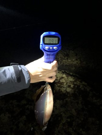 次はキロアップ