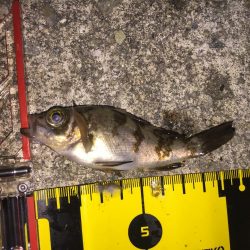 びちょびちょ!でも楽しい‼︎