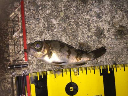 びちょびちょ!でも楽しい‼︎