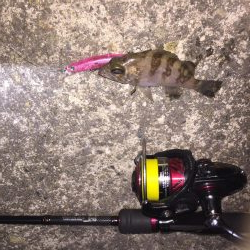 プラグは楽しい！