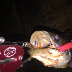 バチパターン難し!!