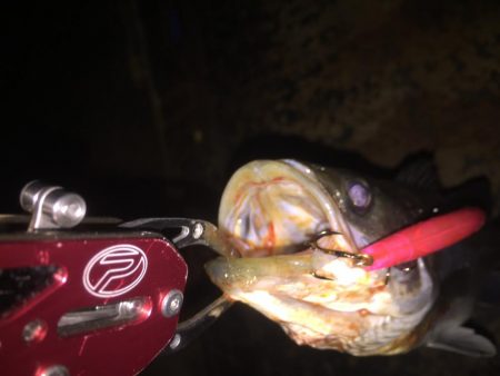 バチパターン難し!!