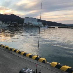 アジング釣れない