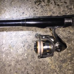 今日は、ワームでした！