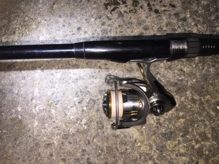 今日は、ワームでした！